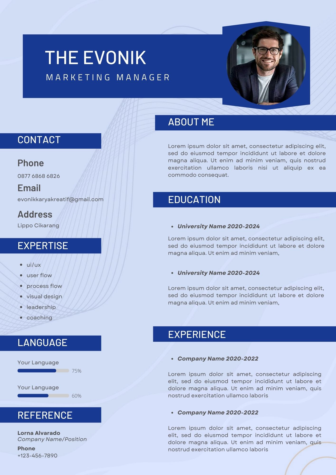 Curriculum Vitae 11/12